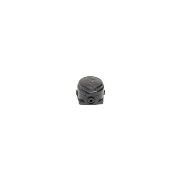CCG100301S1 Remora   